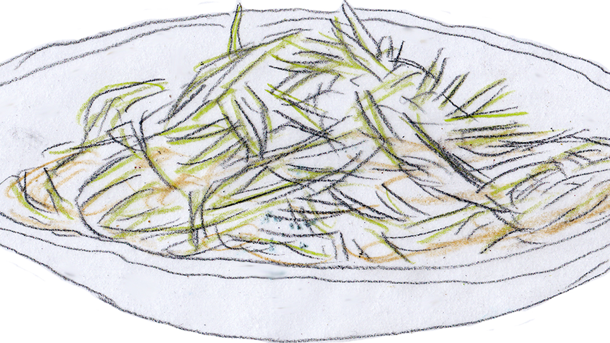 ふーみん」半世紀とこれから - FoodWatchJapan