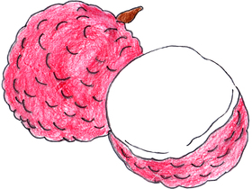 固い皮をむくと、半透明の滑らかな果肉が現れるライチ。独特の食感や香り高さから「果物の女王」と呼ばれている。