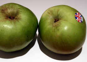 ブラムリー種（Bramley）のリンゴ（photo: Marcin Floryan. original file: https://en.wikipedia.org/wiki/File:Brimley_Apples.jpg）
