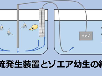 水産研究・教育機構の資料より。