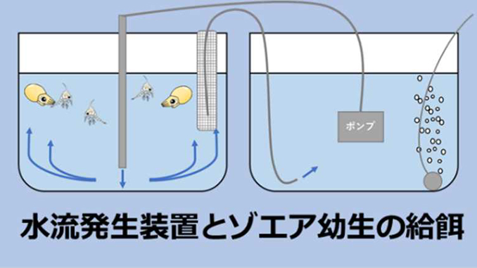 水産研究・教育機構の資料より。