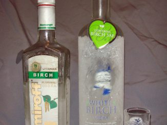 バーチ（白樺）ウォッカ飲み較べ。左がNemiroff社製「バーチ」、右がOmskvinprom蒸留所の「ホワイトバーチ」。