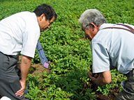 圃場で作物を前にすれば外食と農業の壁を越えて話も弾む