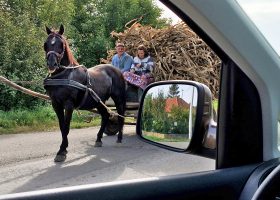 運転手が機転を利かせて車を反転させて馬車を撮らせてくれる。