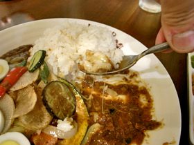 カレーと具の融合を確認しながら食べ進む！