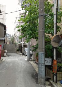 東京大神宮に上る道