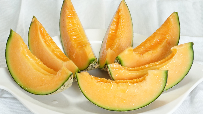 mktf202508melonquincy