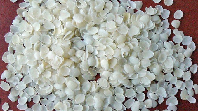 タラガムの原料、タラの種子