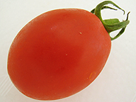 シシリアンルージュ。見た目は普通の中玉トマトだが、鍋の中で演じることに価値がある