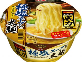 「明星　ラーメンの底力　極塩スープと太麺」（明星食品）