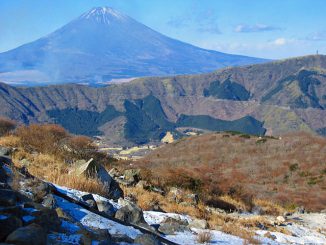 火山灰土地帯