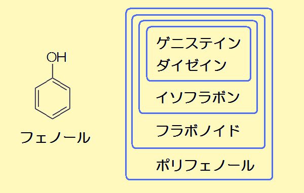 フェノールの構造式（左）とポリフェノールの分類