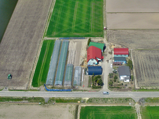 北海道の農場