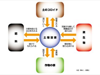 土壌溶液による栄養の制御