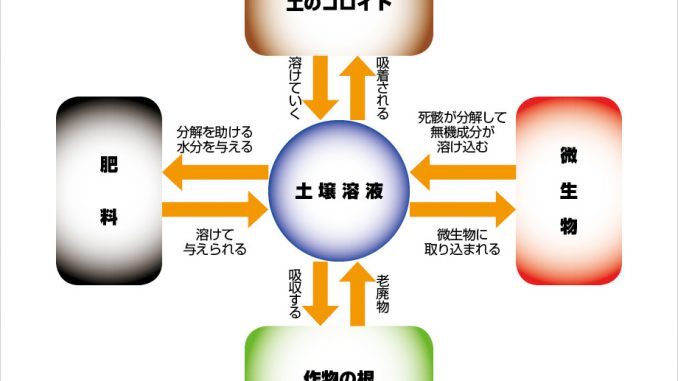 土壌溶液による栄養の制御